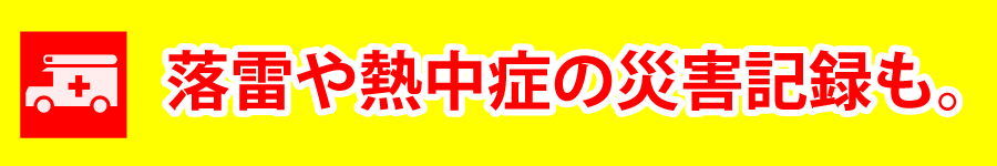 雷災害タイトル